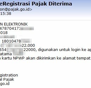 Pendaftaran NPWP Individual