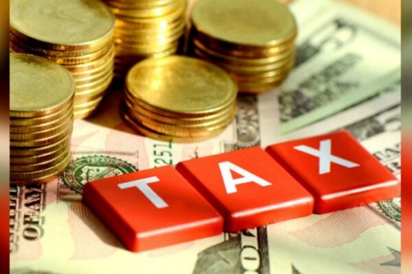 Apakah Pekerja Lepas Wajib Punya NPWP dan Lapor SPT Pajak?