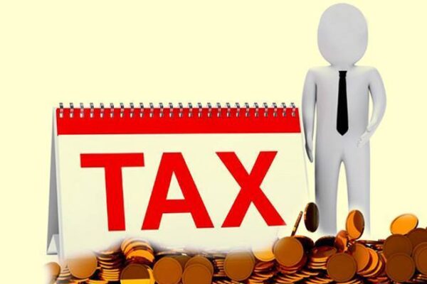 Pelajari dengan Baik Perbedaan Pajak Pusat dan Pajak Daerah