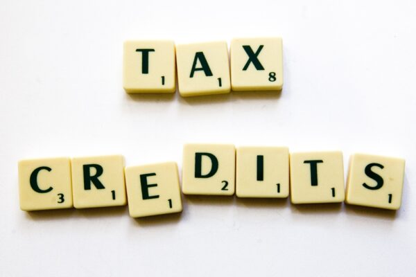 Pelajari Apa yang Dimaksud dengan Istilah Kredit Pajak