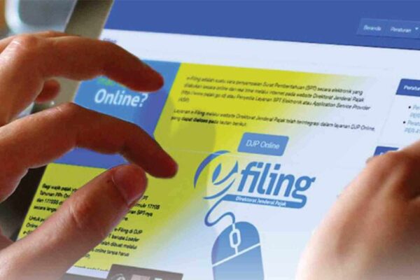 Pelajari Lebih Detail tentang EFIN (Electronic Filing Identification Number)