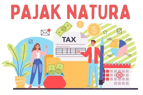 Penegasan Pemerintah Mengenai Tidak Perlunya Laporan Khusus untuk Biaya Natura