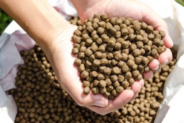 Kenali Perbedaan Pengenaan PPN Pakan Hewan Ternak dan Hewan Peliharaan