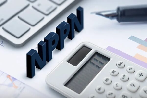 NPPN 2025: Hindari Pembukuan Rumit, Laporkan Sebelum 31 Maret! NPPN 2025: Hindari Pembukuan Rumit, Laporkan Sebelum 31 Maret!