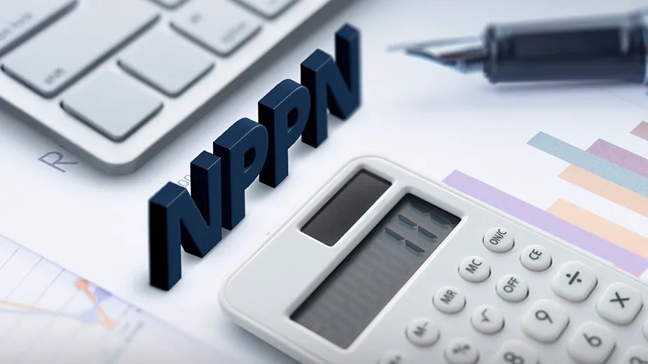 NPPN 2025: Hindari Pembukuan Rumit, Laporkan Sebelum 31 Maret!